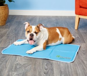 Bulldog lying on a Green Pet Shop Self-Cooling Pet Pad