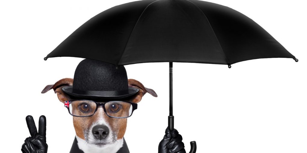 Best Dog Umbrella