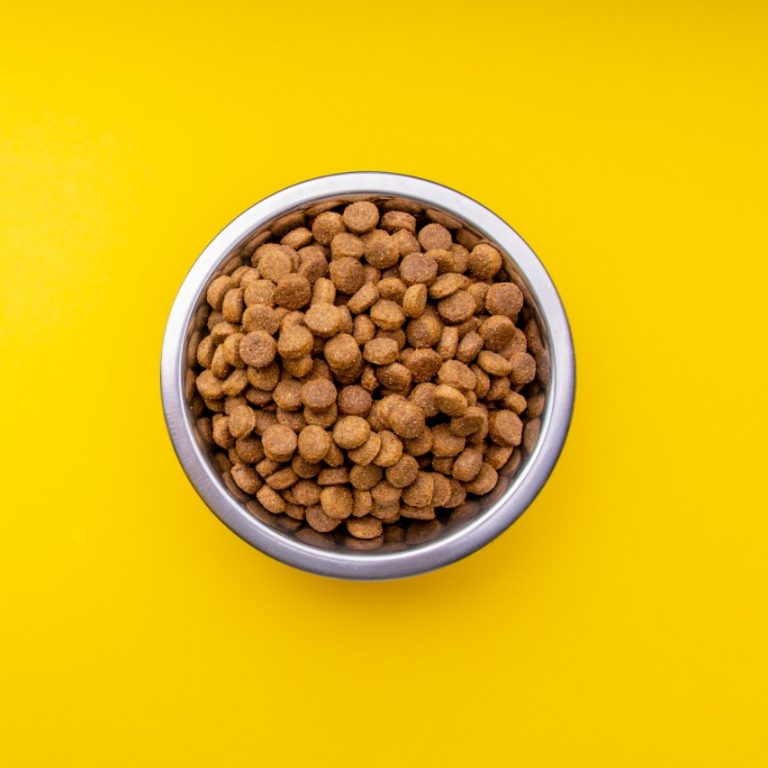 Top 10 Hypoallergenic Dog Food of 2020 (Review) Herepup