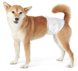 AmazonBasics Male Dog Wrap, Disposable Diapers - Pack of 30