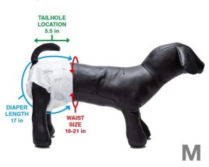 Measurements of a medium sized dog diapers
