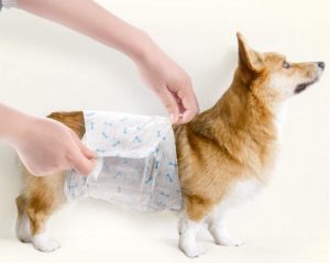 Dono Disposable Dog Diapers Male Dog Wraps Super Absorbent Soft Pet Diapers, Including Four Sizes, Extra Small, Small, Medium, Large, Diapers Wetness Indicator