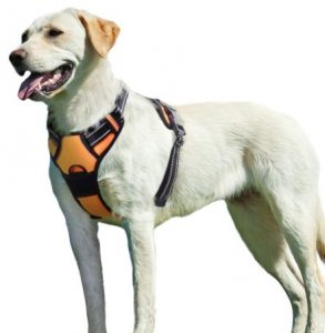 Eagloo Dog Harness No Pull, Walking Pet Harness with 2 Metal Rings
