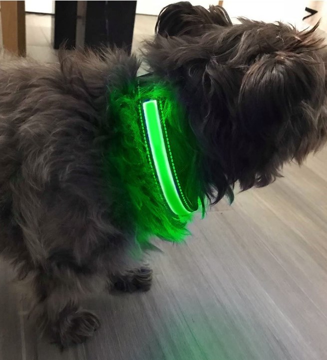 FOCUSPET LED Dog Collar - Solar and USB Rechargeable - 2 Flash Mode 2 Sizes