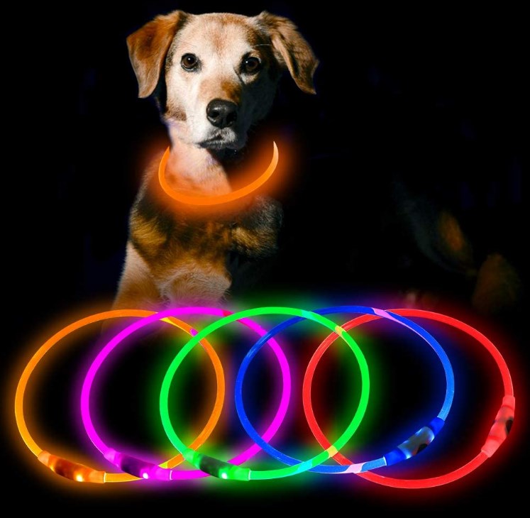 HiGuard LED Dog Collar USB Rechargeable Glowing Pet Collars Lighted Up