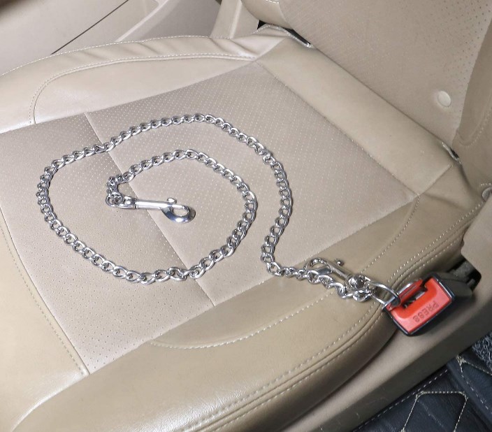 10 of the Best Dog Seat Belts Herepup