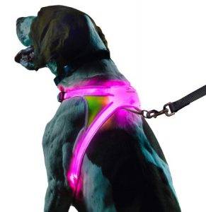 noxgear LightHound – Revolutionary Illuminated and Reflective Harness for Dogs