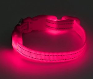 Glowing pink LED collar for pets