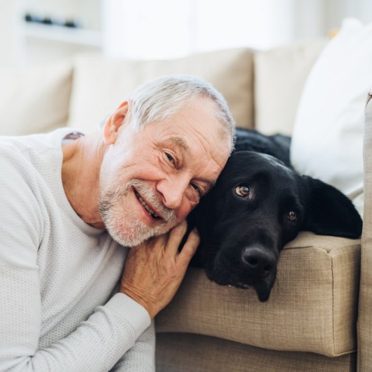 Best Dogs for Seniors Top Dogs for Elderly Herepup
