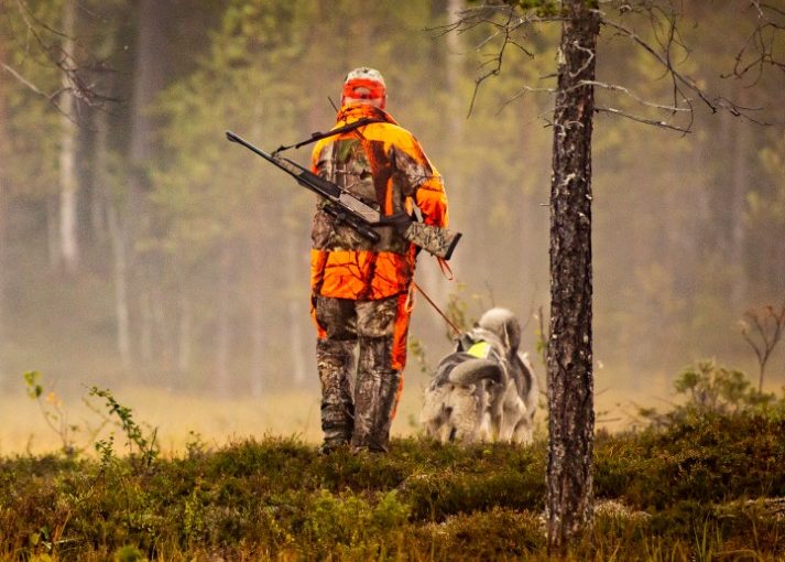 Best Dog Breeds for Hunting