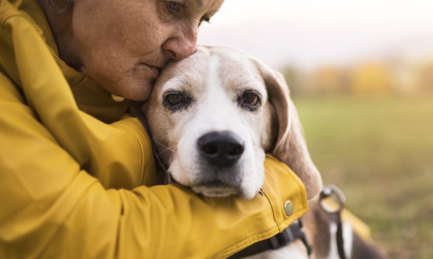 Best Dogs for Seniors - Dog Breeds for Older People