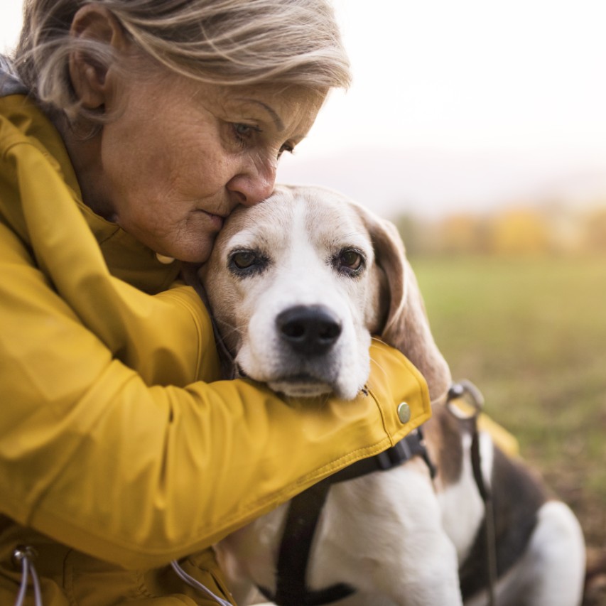 Best dog best sale for elderly