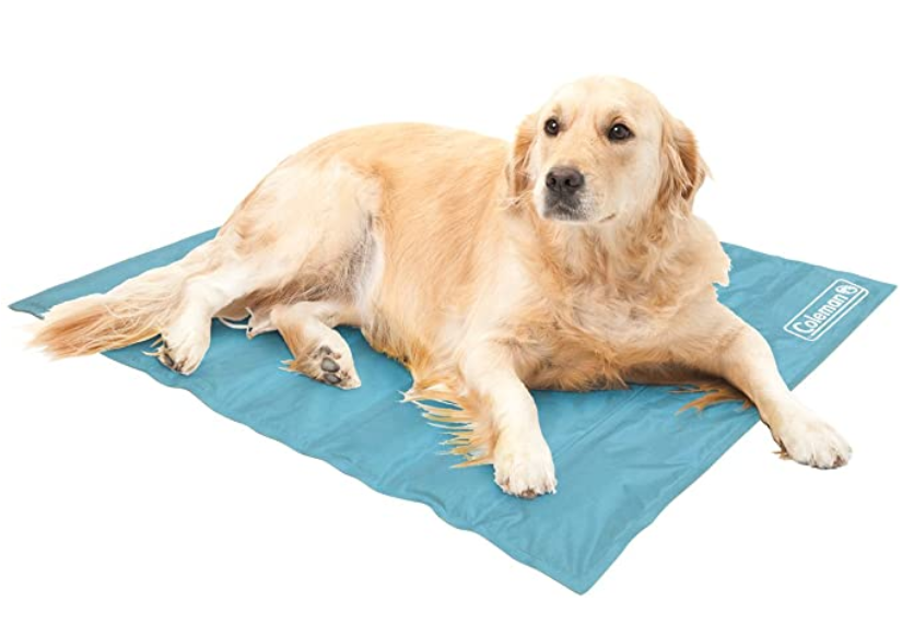 Dog Cooling Mat 2020 Reviews and Purchase Guide HerePup!