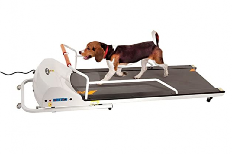 Best Dog Treadmills Reviews of 5 Good (& SAFE) Options Herepup