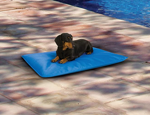 K&H Pet Products Cool Bed