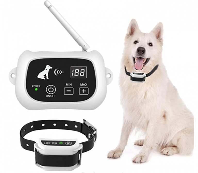 The Most Comprehensive Wireless Dog Fence Reviews 2020 Herepup