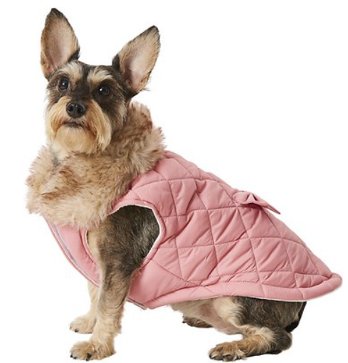 Frisco Aspen Quilted Dog & Cat Jacket with Bow