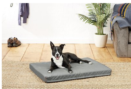 Frisco Rectangular Pillow Dog Bed
