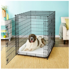 Large Dog Kennels, Crates, and Cages 2021 | Herepup