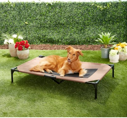K&H Pet Products Elevated Dog Bed