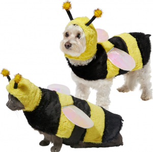 bumblebee dog costume