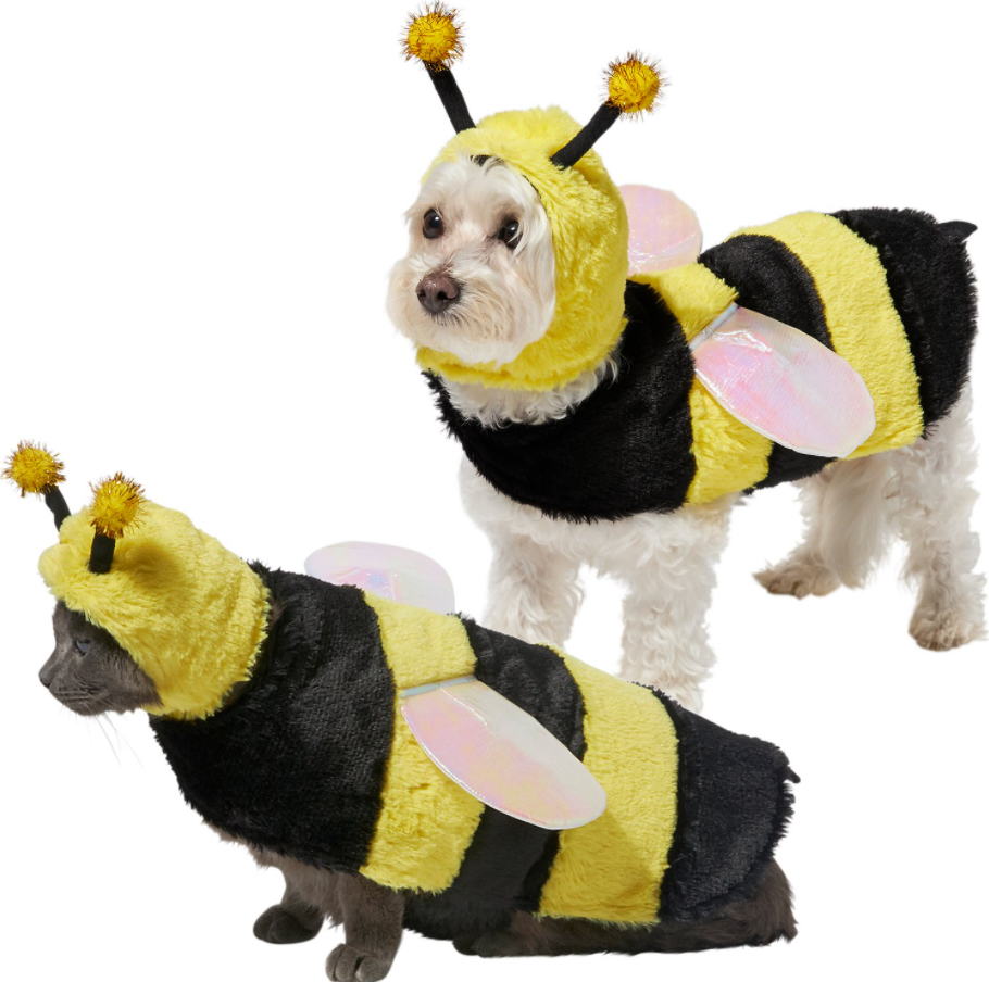 Bumblebee Dog Costume
 DIY Halloween Costumes for Dogs Alternatives You Can Buy